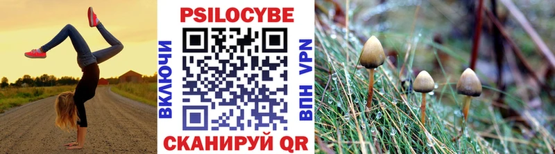 Галлюциногенные грибы Psilocybine cubensis Купить закладки Кингисепп